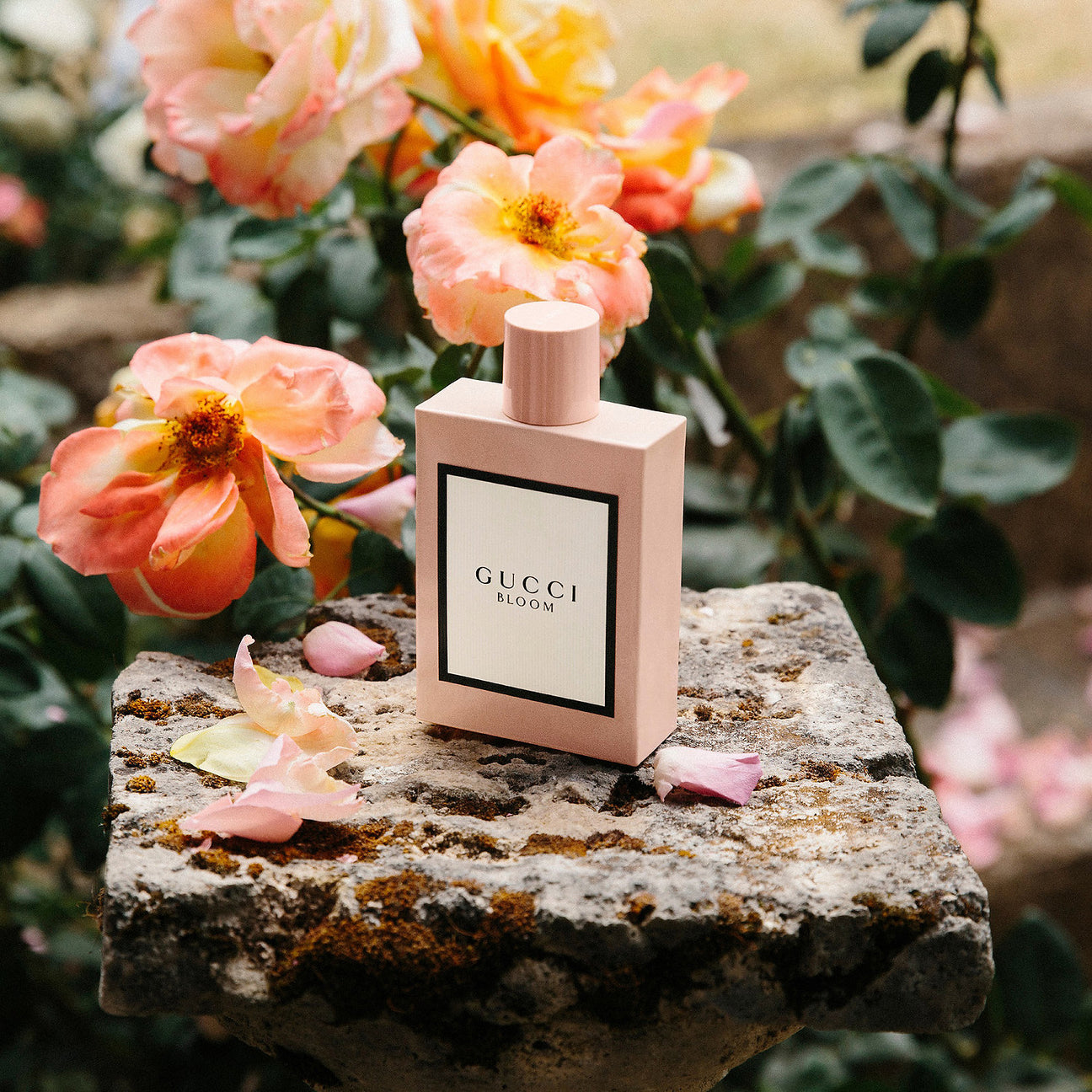 FRAGRANCES