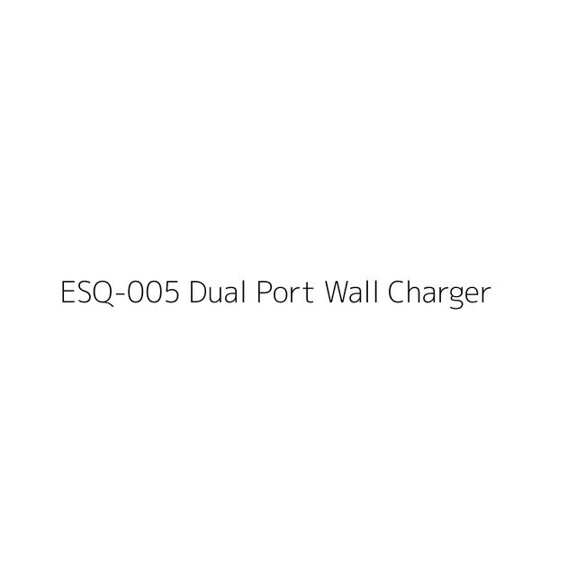 Dual Port Wall Charger