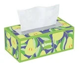 Kleenex Trusted Care 2-Ply Facial Tissues, 1 Flat Box, 160 Tissues per Box - Soft, Strong, & Absorbent